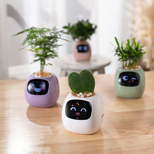 Ivy Smart Home Pet Planter